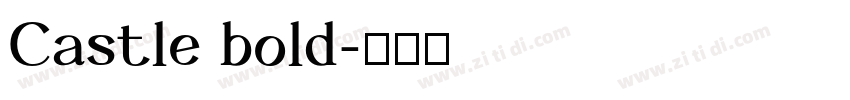 Castle bold字体转换